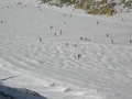 Gletscherausflug 2007 (6)