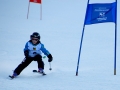 Verreinsrennen 2014 (3)