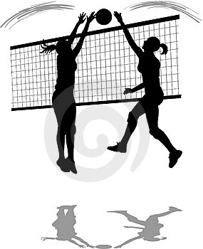 Volleyball-Vereineturnier 2014