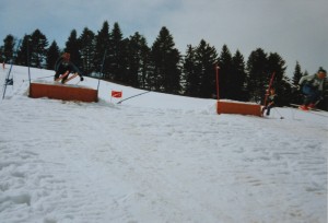 Parallelslalom 1988