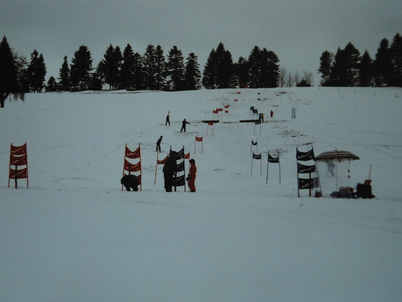 Parallelslalom 1991